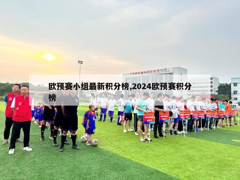 欧预赛小组最新积分榜,2024欧预赛积分榜